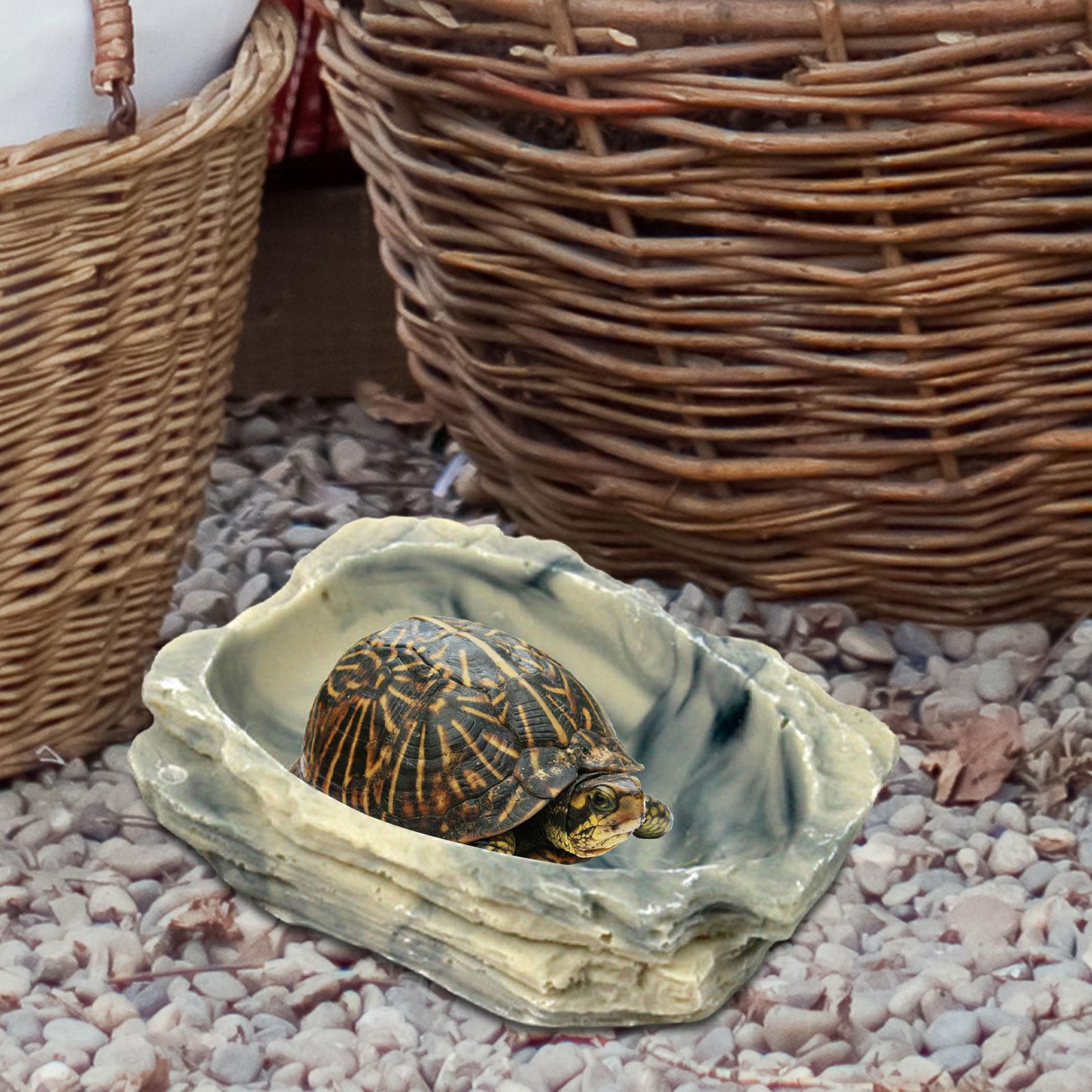 Reptile  Bowl Feeding Bowl Resin Food Feeder for Frog Dragon Gecko