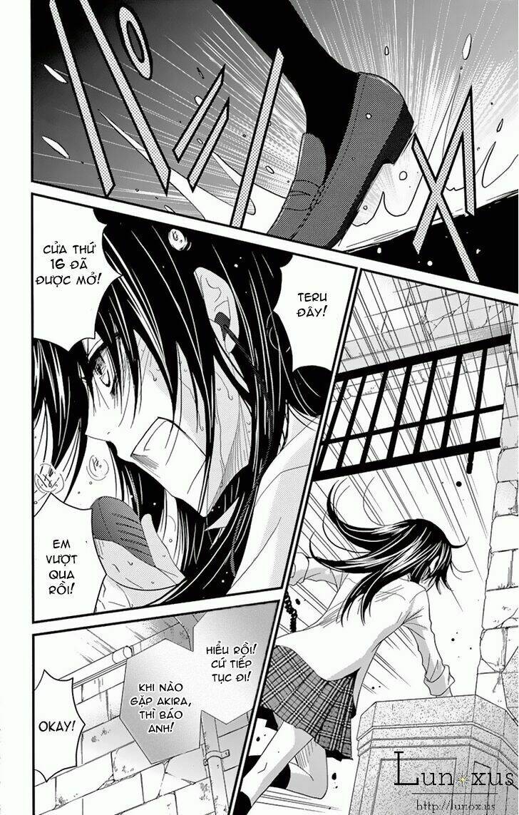 điện kích daisy chapter 73 27