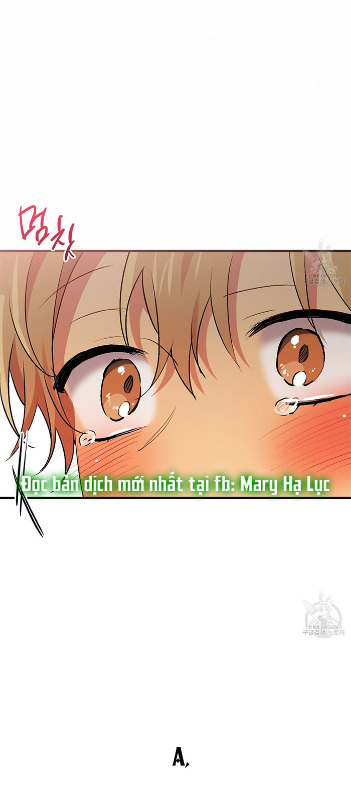 những chú thỏ của hapypy chapter 43 52