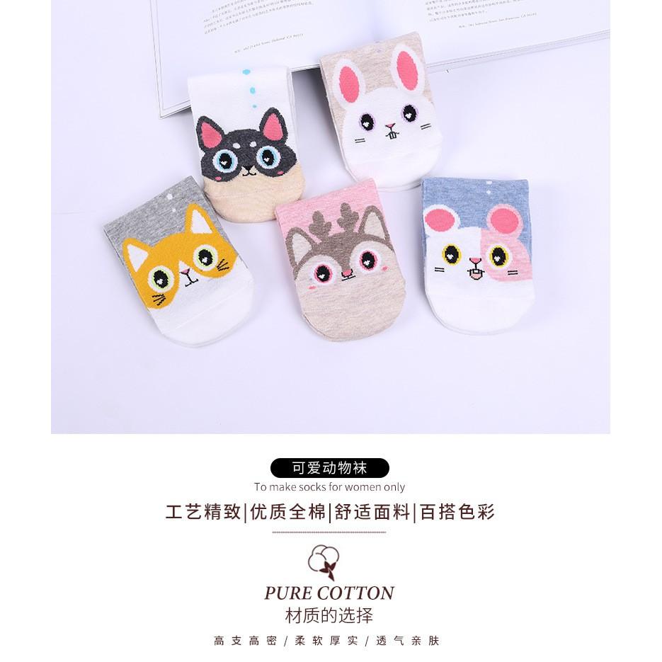 Set 05 đôi tất cổ ngắn