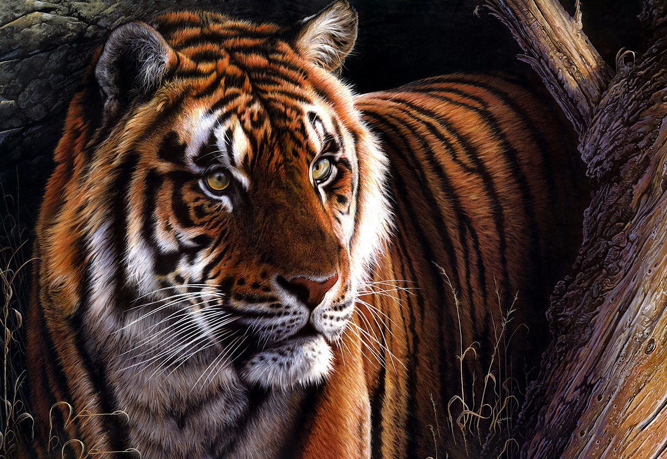 Bộ tranh xếp hình jigsaw puzzle cao cấp 330 mảnh – Chúa Sơn Lâm