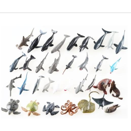 Mô Hình Rái Cá Mini - Trường Thịnh Sài Gòn