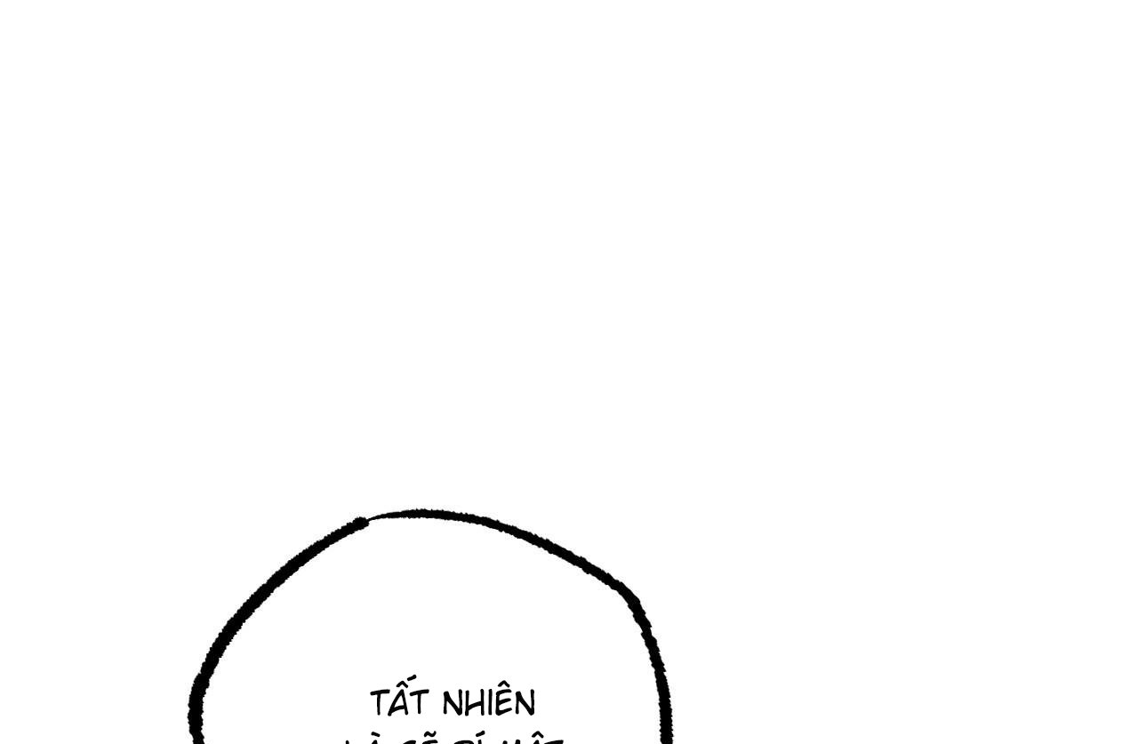 những chú thỏ của hapypy chapter 61 25