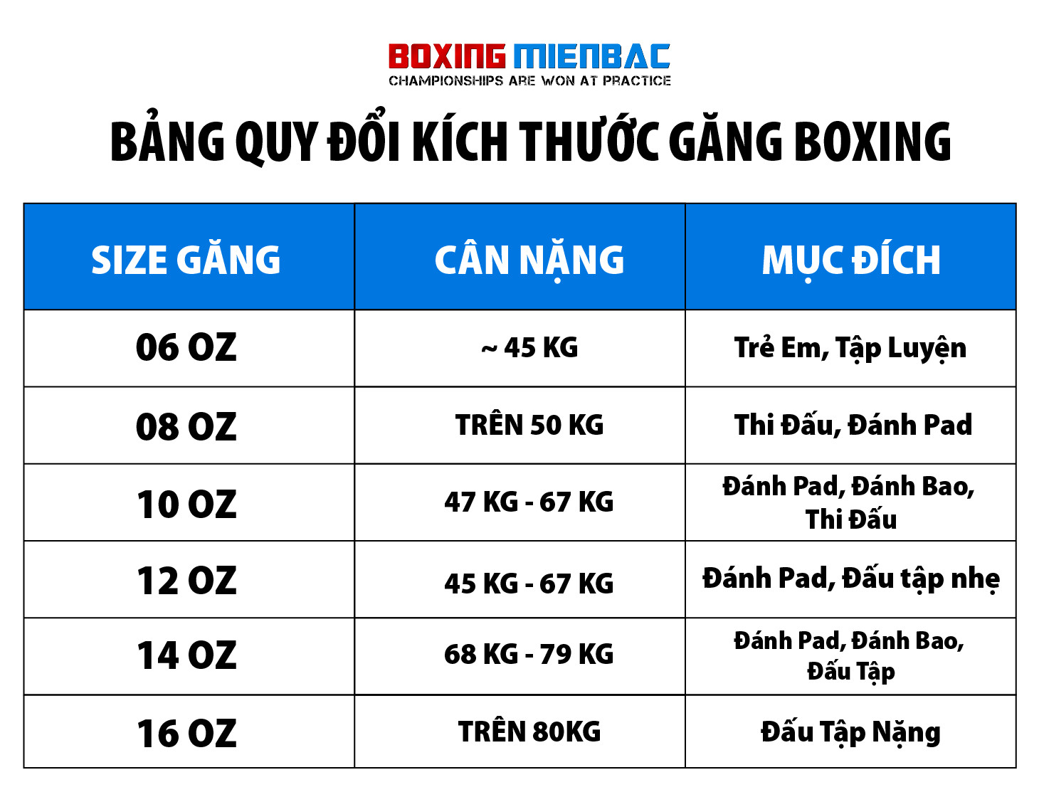 Găng Tay Boxing BN Trẻ Em Cao Cấp – Trắng, Đỏ, Xanh Dương