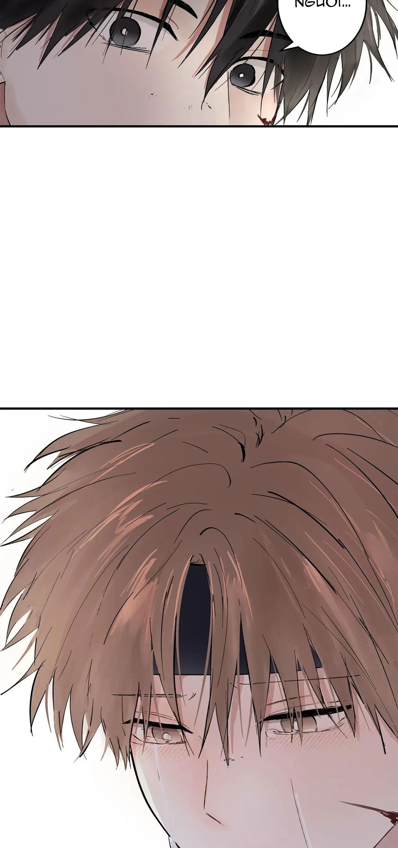 bl cổ trang - âu cổ ngắn nhà kim chapter 38.4 12