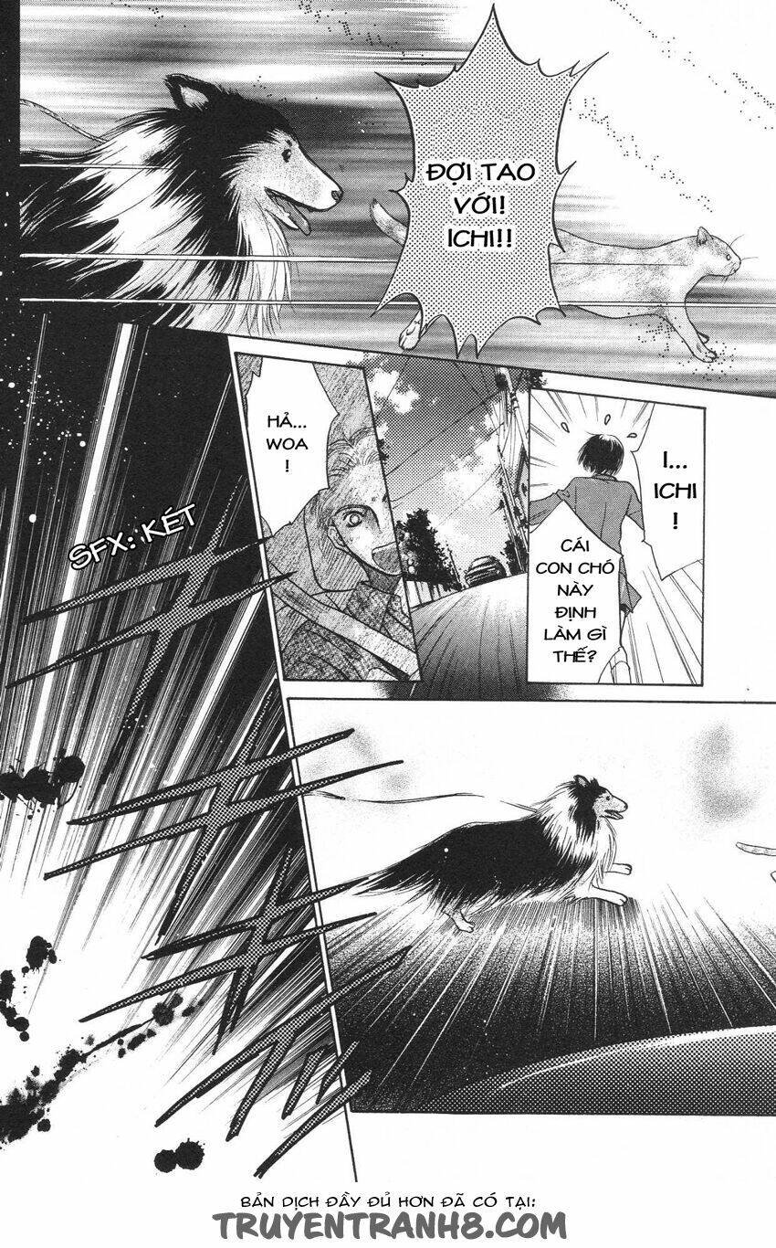 komatta toki ni wa hoshi ni kike! chapter 35 7