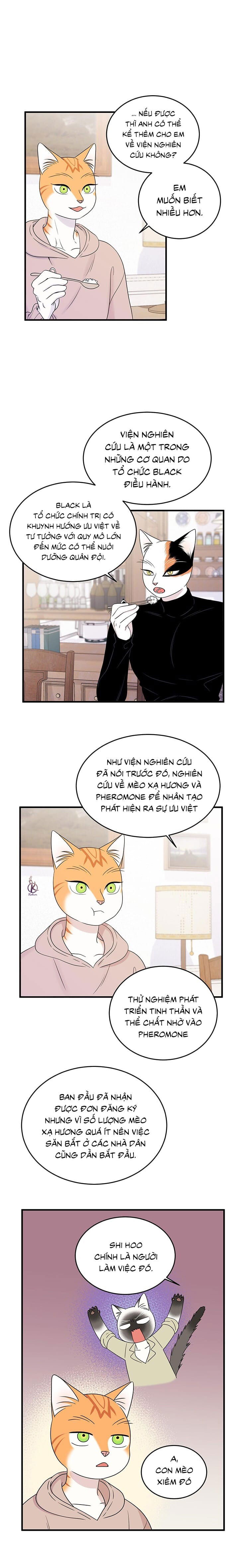 dự án xanh chapter 39 8