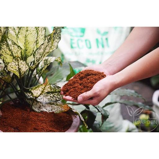 Viên nén xơ dừa, đất nén xơ dừa nén 450Gr dùng trồng rau, trộn giá thể trồng cây - Shop Phân Bón và Hạt Giống
