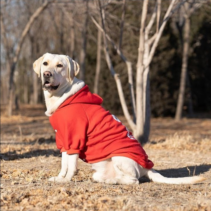 ÁO HOODIE CHO CHÓ RED AND BULL DÀNH CHO CHÓ LỚN - SP000604