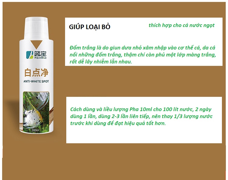 ANTI-WHITE SPOT SẢN PHẨM VI SINH GIÚP LOẠI BỎ ĐỐM TRẮNG CHO CÁ, GIÚP ỔN ĐỊNH CHẤT LƯỢNG NGUỒN NƯỚC VÀ GIUP CÁ SỐNG KHOẺ