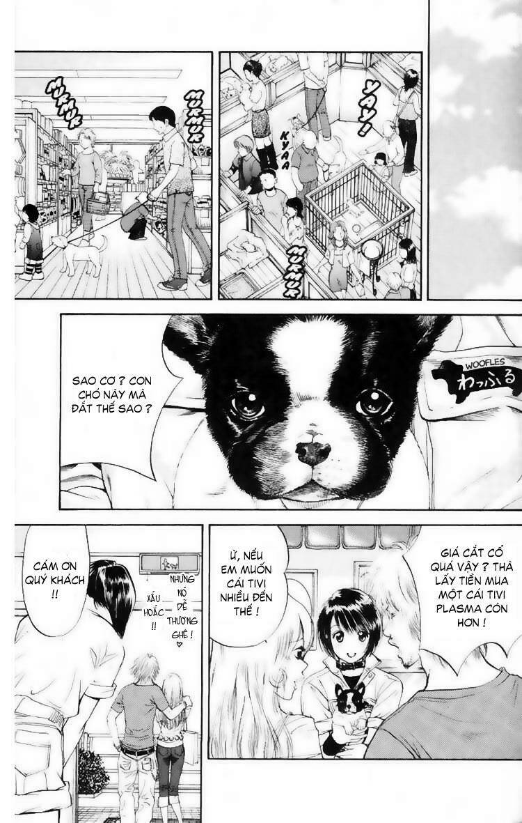 cô nàng yêu chó chapter 10 9