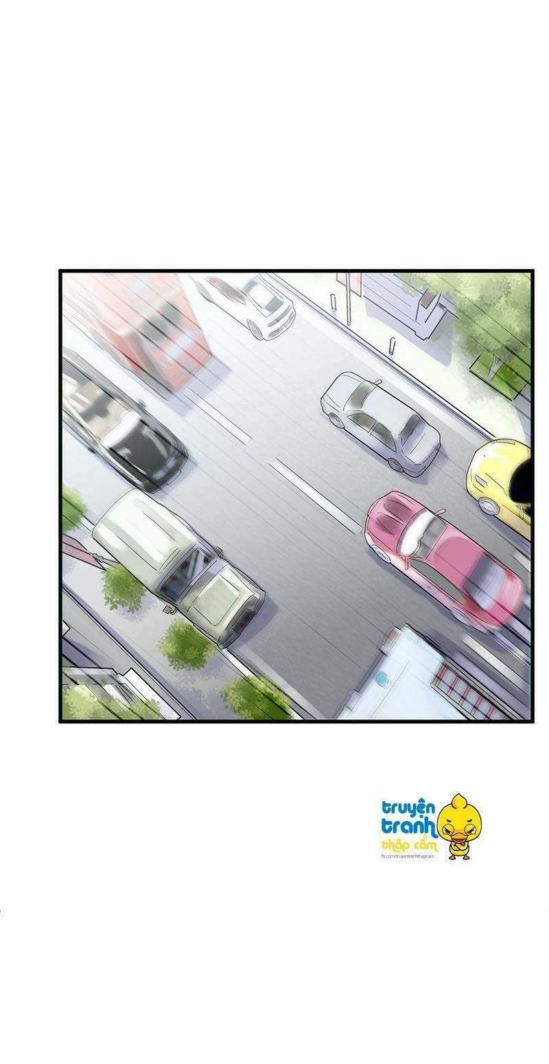 chọc tới chủ tịch tổng tài 2 chapter 44 11