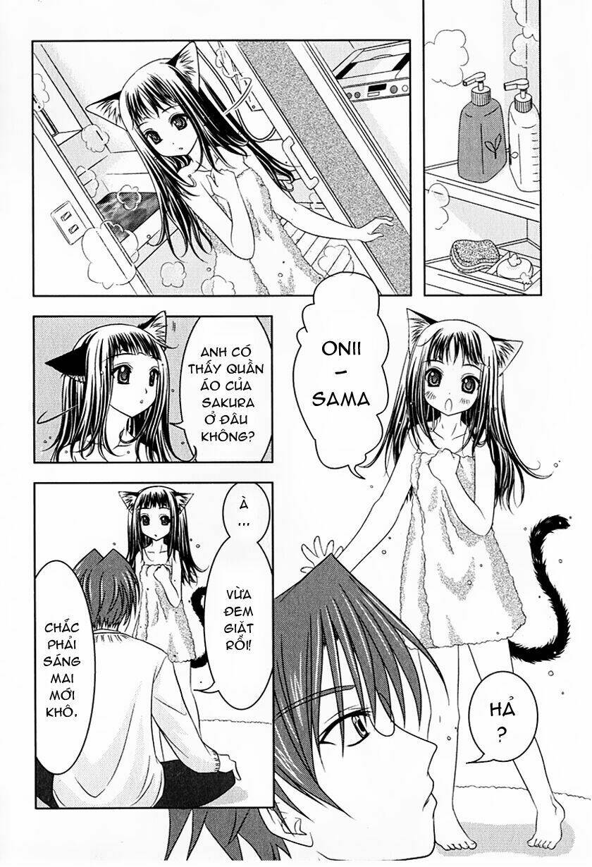sakura no nekohime chapter 1 31