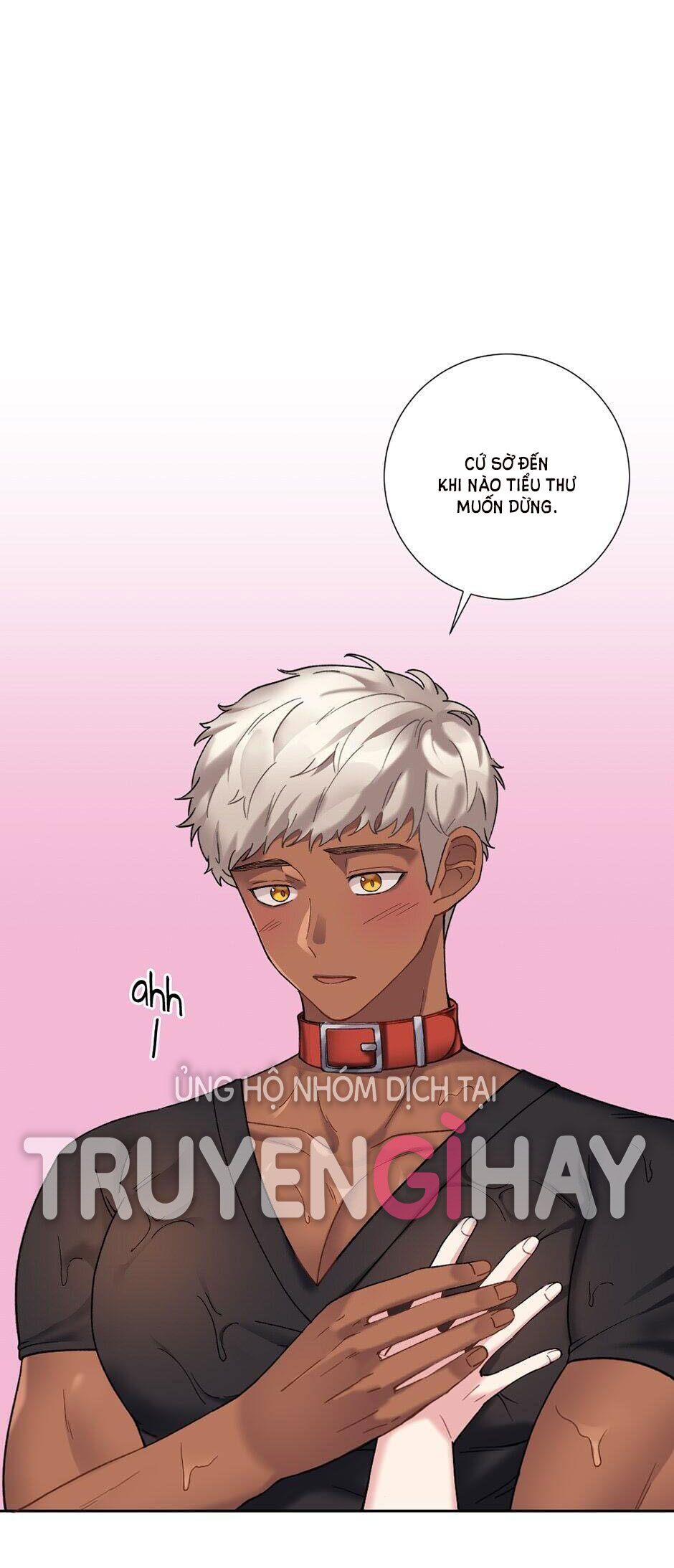 tiểu thư và dàn hầu nam mlem chapter 26 6