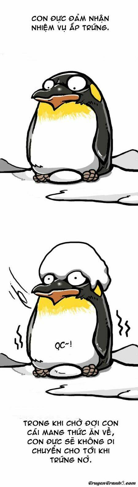 earth, human, and animal chapter 7 12