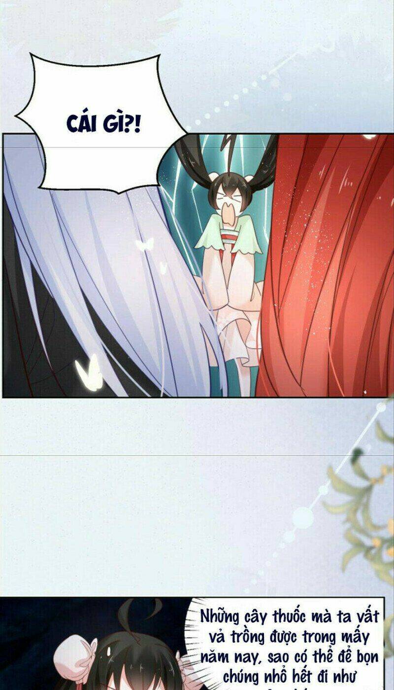 hắc hóa nam chính trực tuyến nuôi thỏ chapter 51 27