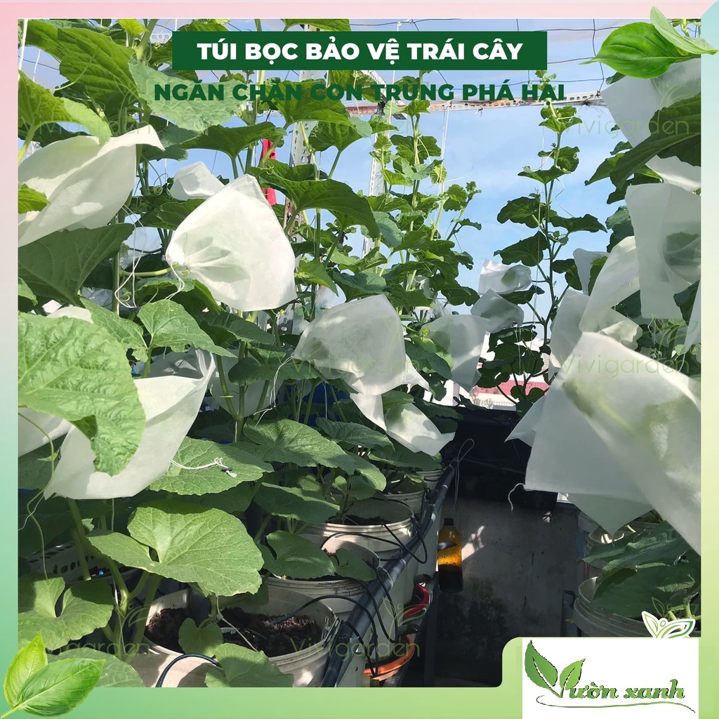 Set 20 túi bọc dưa lưới kích thước 30 x 30cm, bọc bưởi, bọc nhãn kiểu dây rút