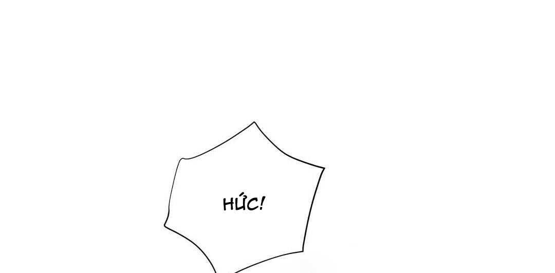 guide cấp b chapter 41 146