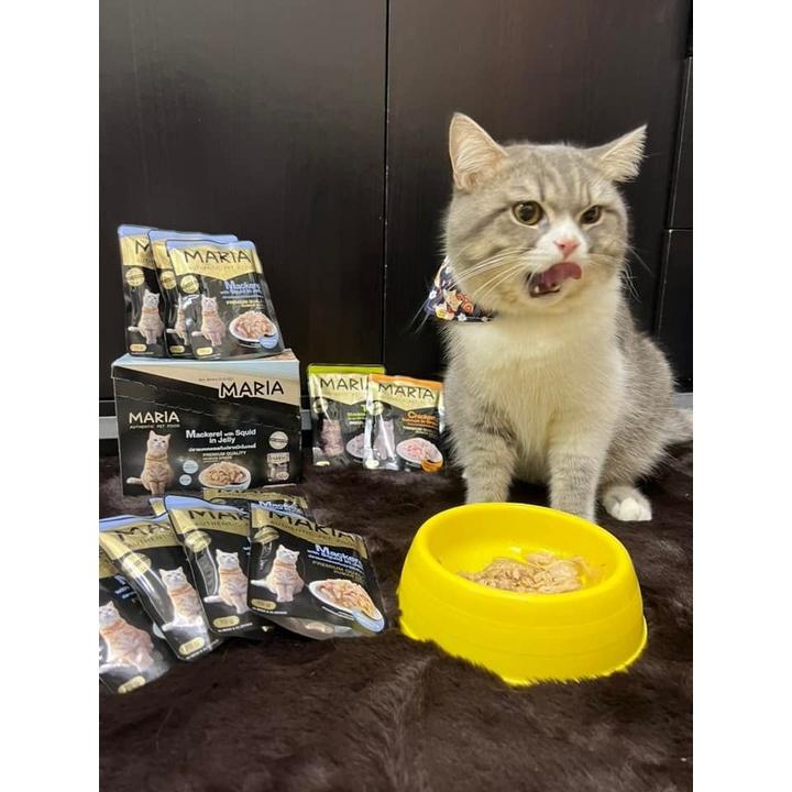 Pate cho mèo| mèo con 1-2 tháng tuổi Combo 8 gói 70g MARIA AUTHENTIC PET FOOD - thức ăn cho mèo vị thịt gà, cá hồi, cá thu, mực