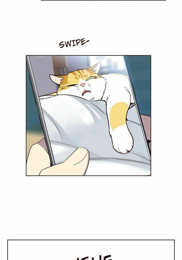 biến thân thành mèo chapter 11 22