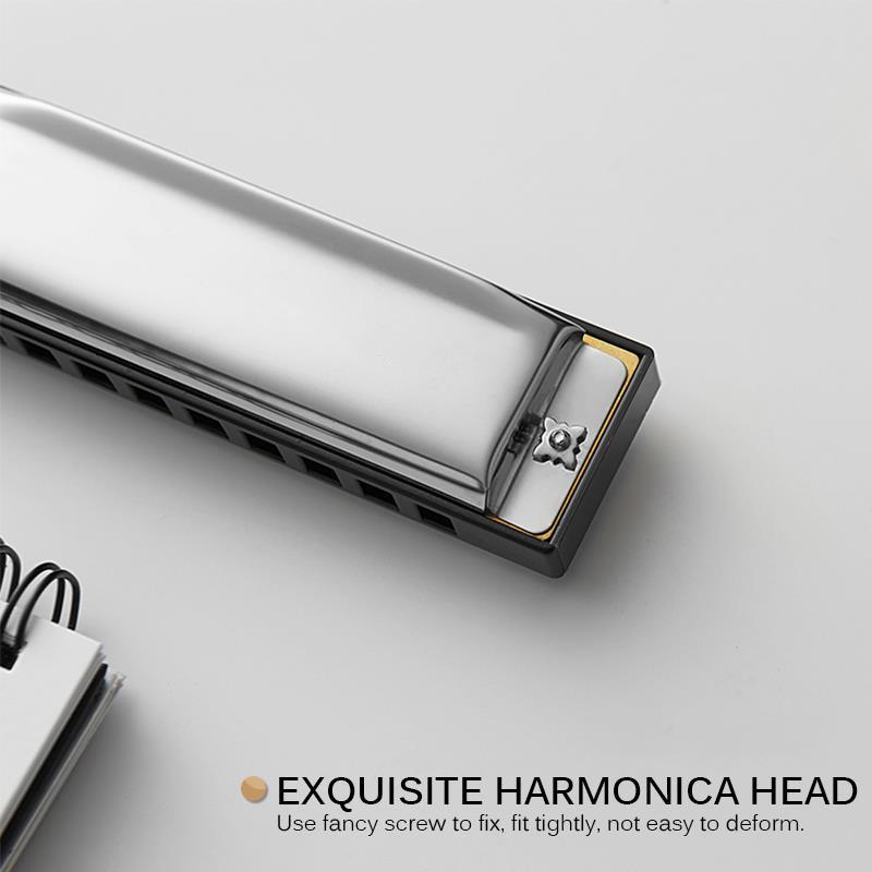 Harmonica 10 Holes 20 Tone Key of C Silver Color Blues Jazz Rock Folk Music Musical Instrument Diatonic Harp ELEN