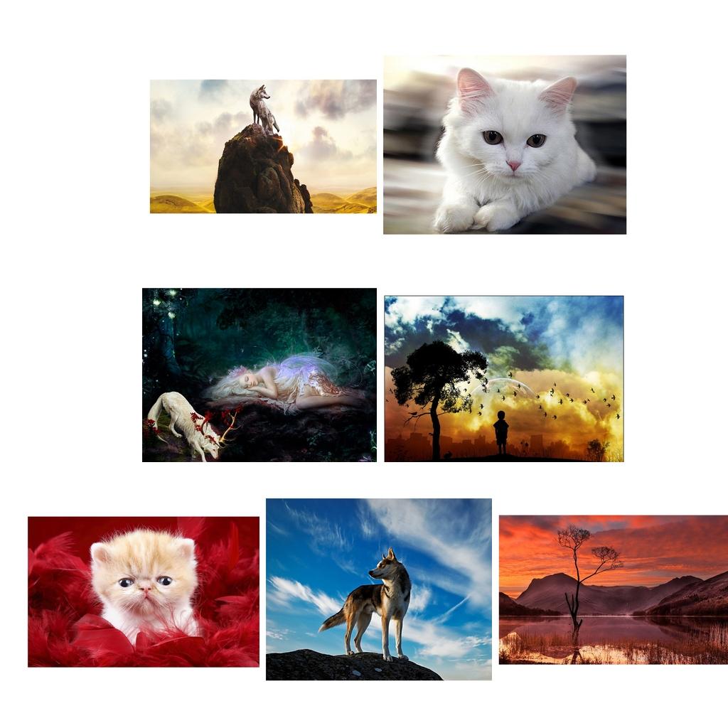 DIY 5D Diamond Painting Kit for adults Embroidery Animal Cross Stitch Kit Art Home Decor