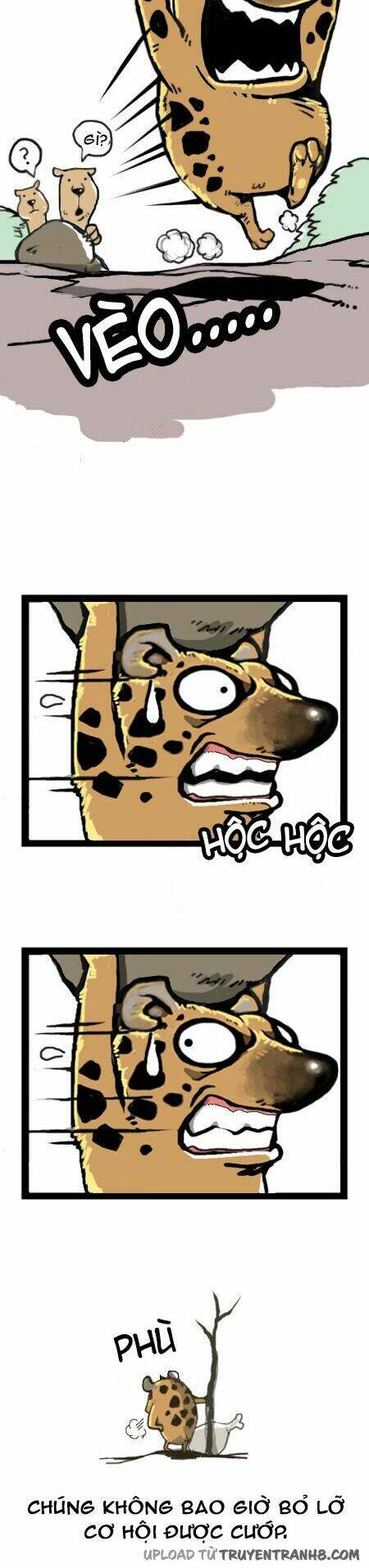 earth, human, and animal chapter 16 10