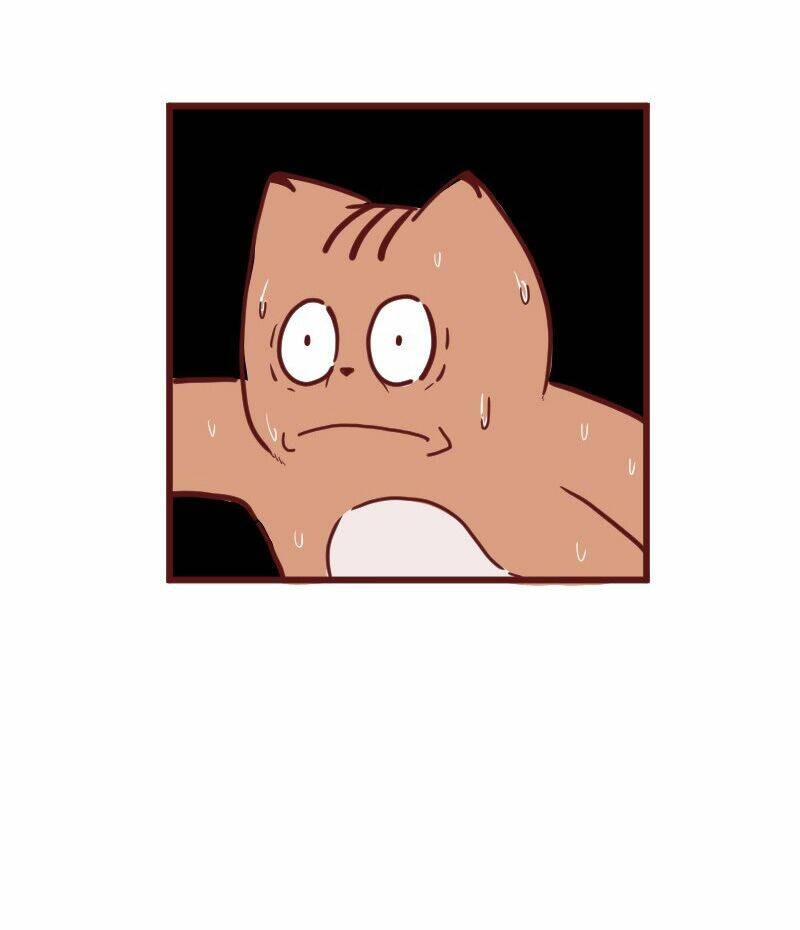 saphie: chú mèo một mắt chapter 24 6