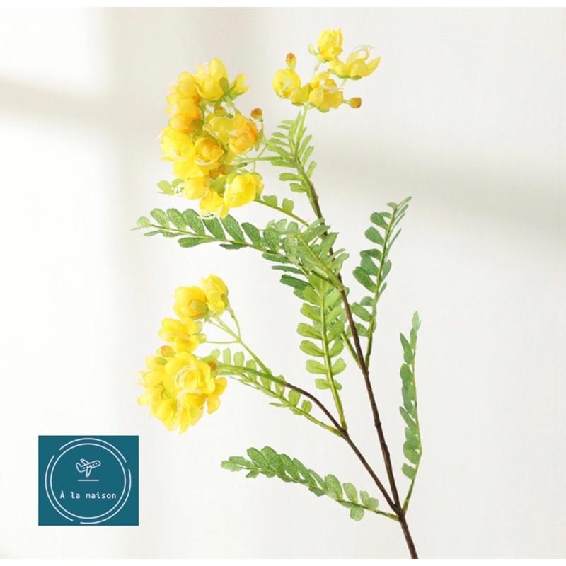 Cành hoa Chi vang cao 78cm nhiều nhánh hoa và lá đẹp tự nhiên