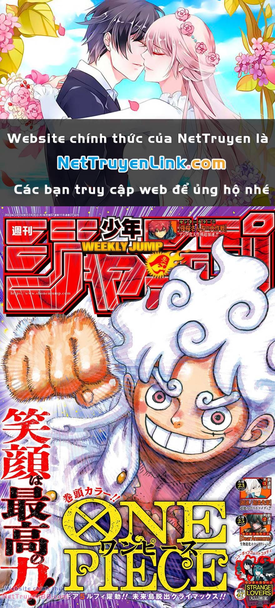 đảo hải tặc - one piece chapter 1108 1