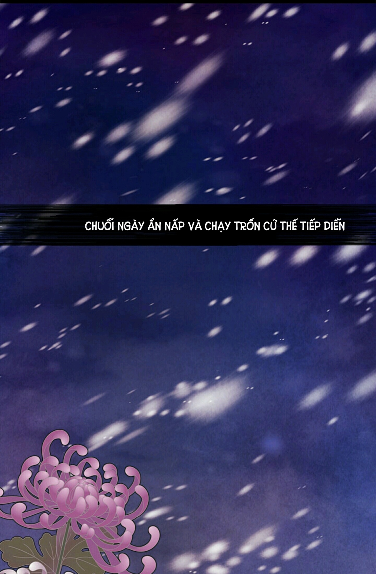 đêm hoang dại chapter 1 13