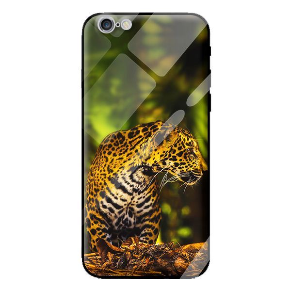 Ốp kính cường lực cho iPhone 6 mèo 26 - Hàng chính hãng