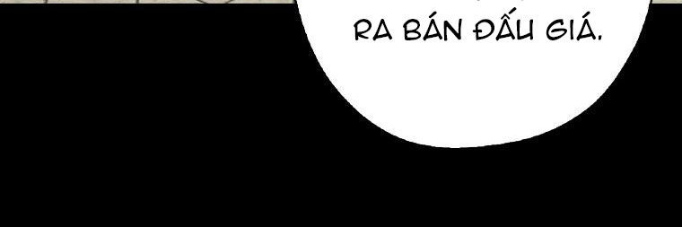 ba người anh trai của tôi là bạo quân chapter 66 63