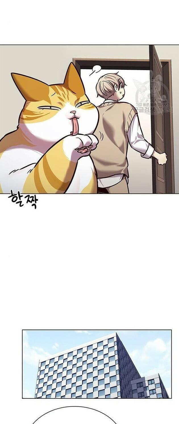 biến thân thành mèo chapter 228 23