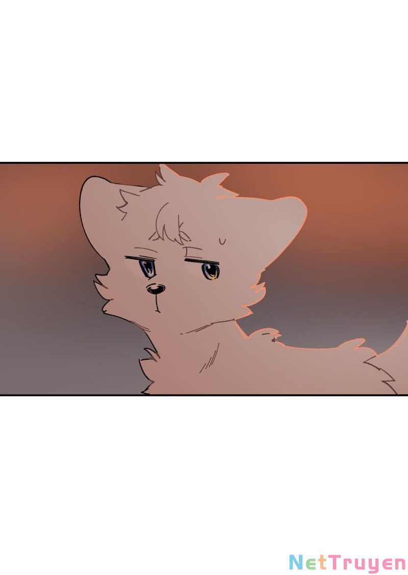 lumine - cội nguồn ánh sáng chapter 108 25