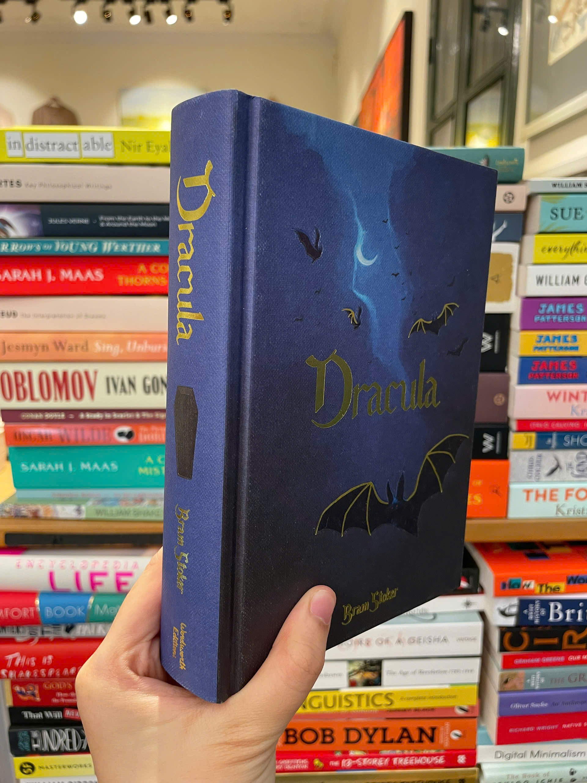 Sách - Dracula by Bram Stoker - Classics/Horror/Fiction book in English - Sách Ngoại Văn nhập khẩu