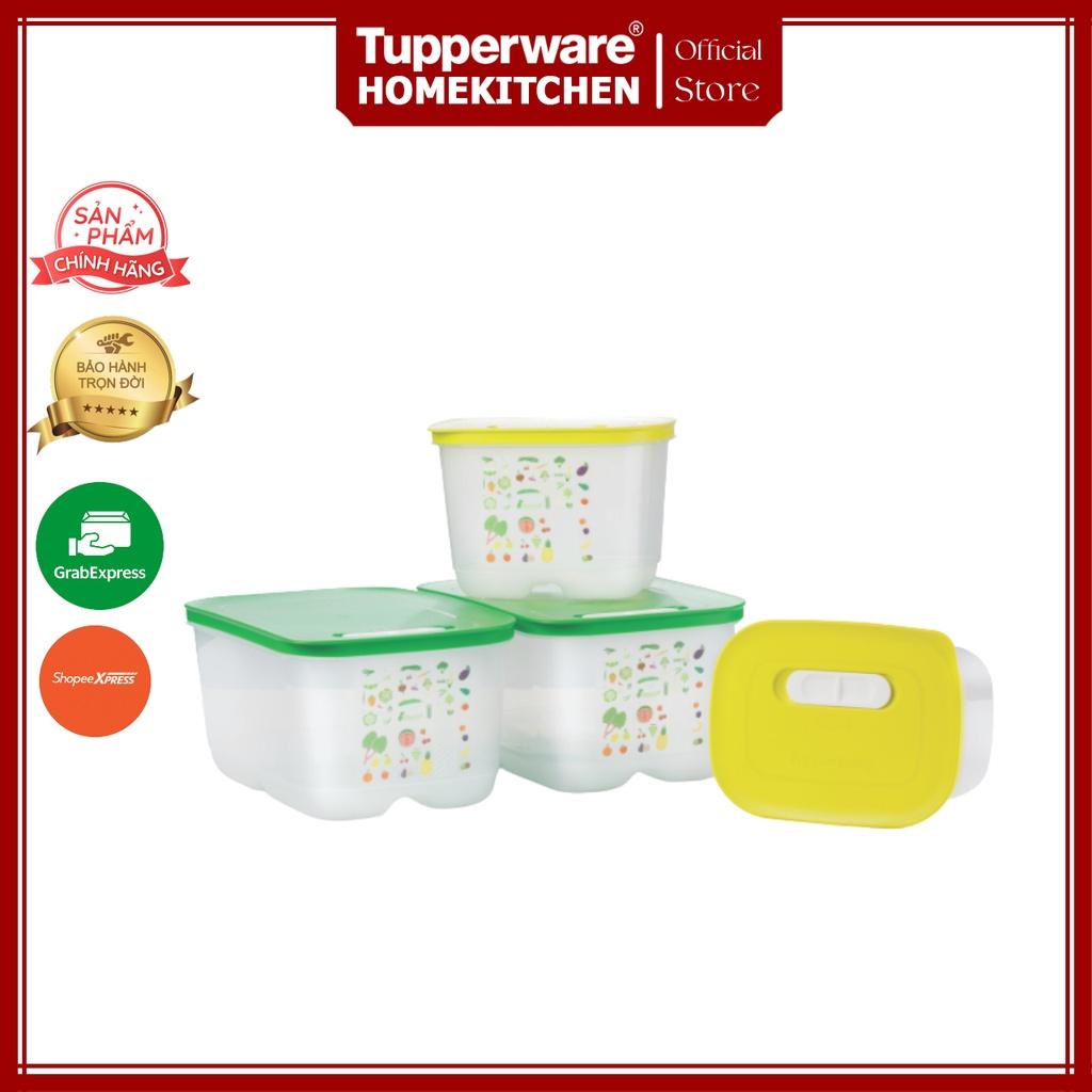 Bộ hộp trữ mát có nút hô hấp Ventsmart (4 hộp) - Tupperware