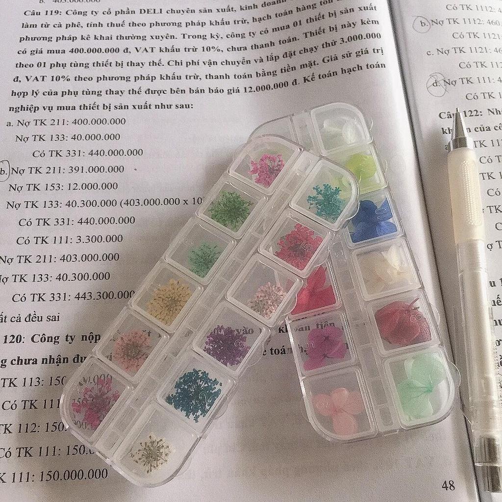 Hộp 12 Màu Hoa Cẩm Tú Cầu Khô Màu Sắc Rực Rỡ - Trường Thịnh Sài Gòn