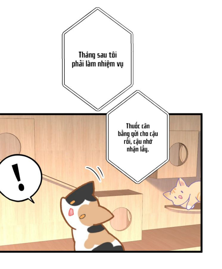 esport nhất kiến chung tình? chapter 12 24