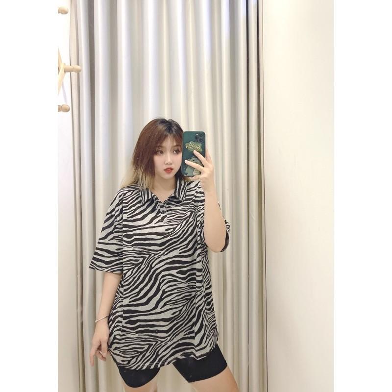 ÁO VẰN NGỰA 3M