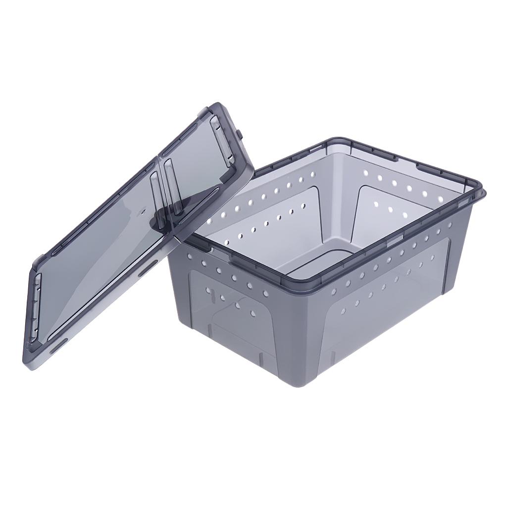 Insect Spider Snake Reptile Transport Breeding Feeding Case 25x17.5x11cm