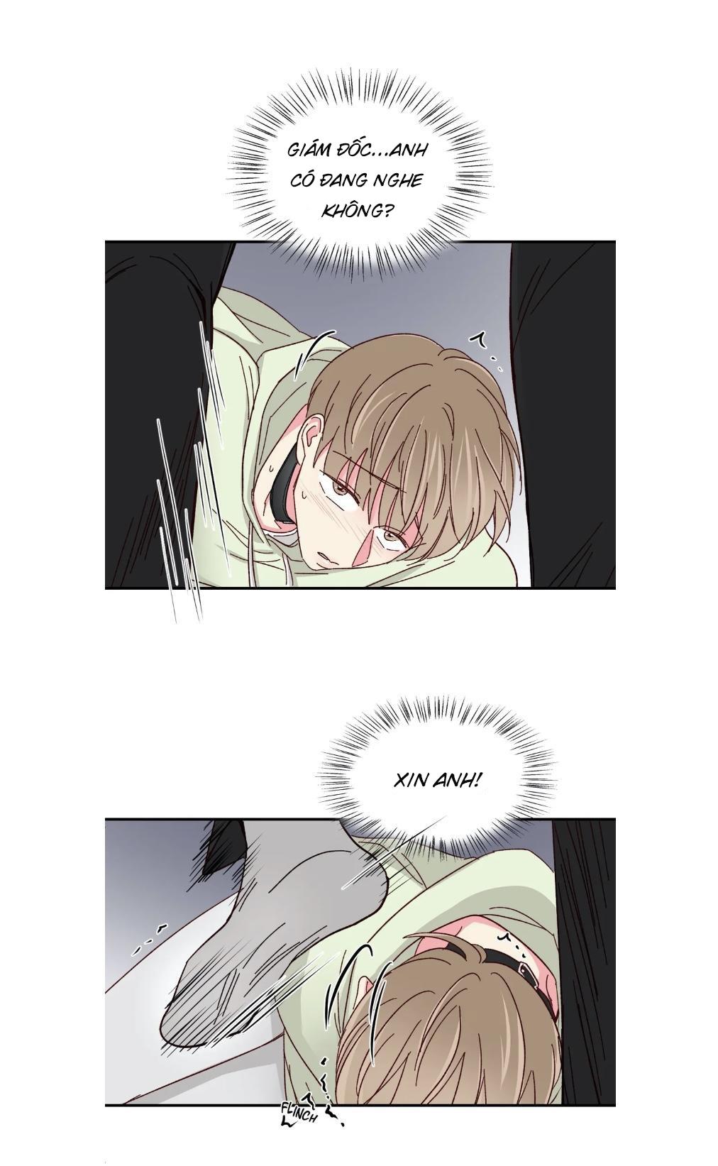 món tráng miệng của sếp tổng chapter 57 11