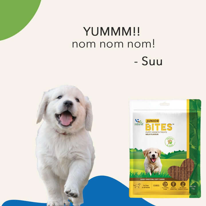 Snack bổ sung dưỡng chất cho bé - JUNIOR  BITES (Vị sữa) - Dành cho cún  con