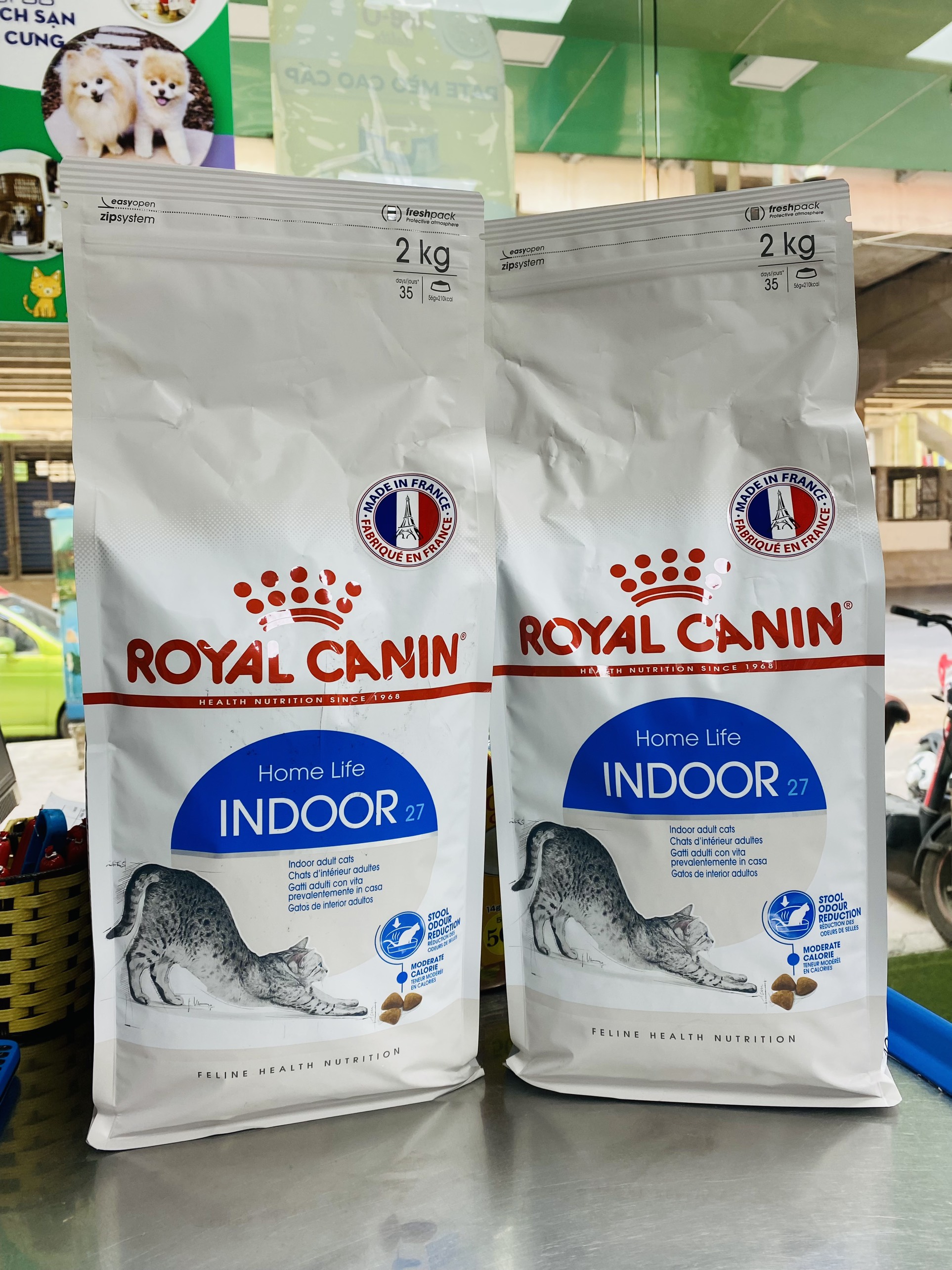 hạt royal cain indoor cho mèo