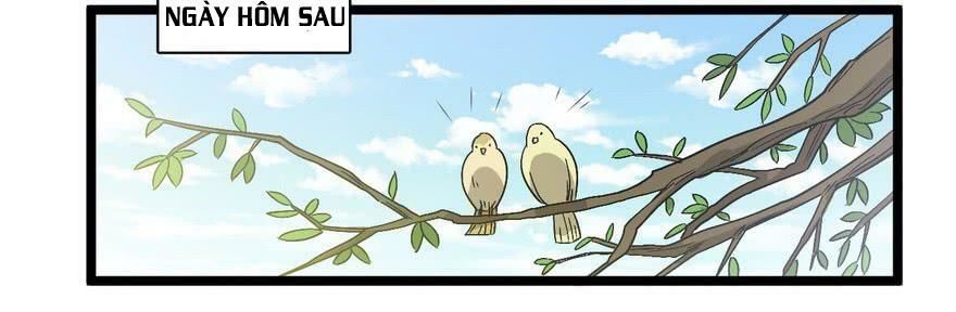 quẻ phi thiên hạ chapter 23 16