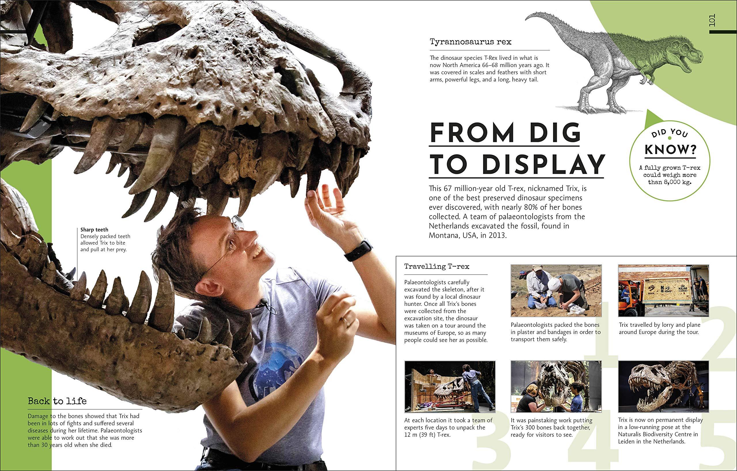 Behind The Scenes At The Museum: Your Access-All-Areas Guide To The World's Most Amazing Museums