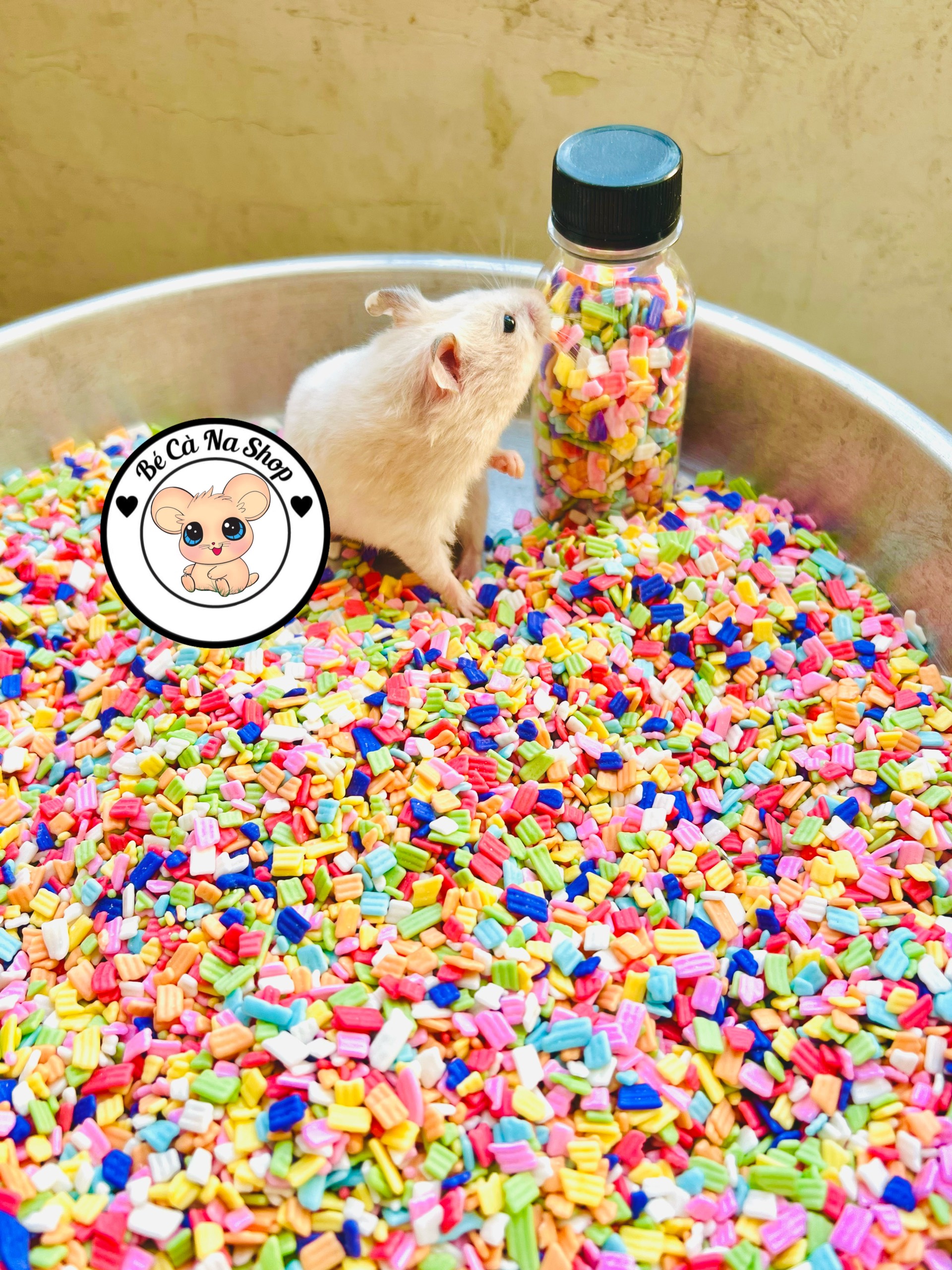 Kẹo vitamin mềm hình đá Thức ăn cho hamster thỏ bọ sóc chinchilla...