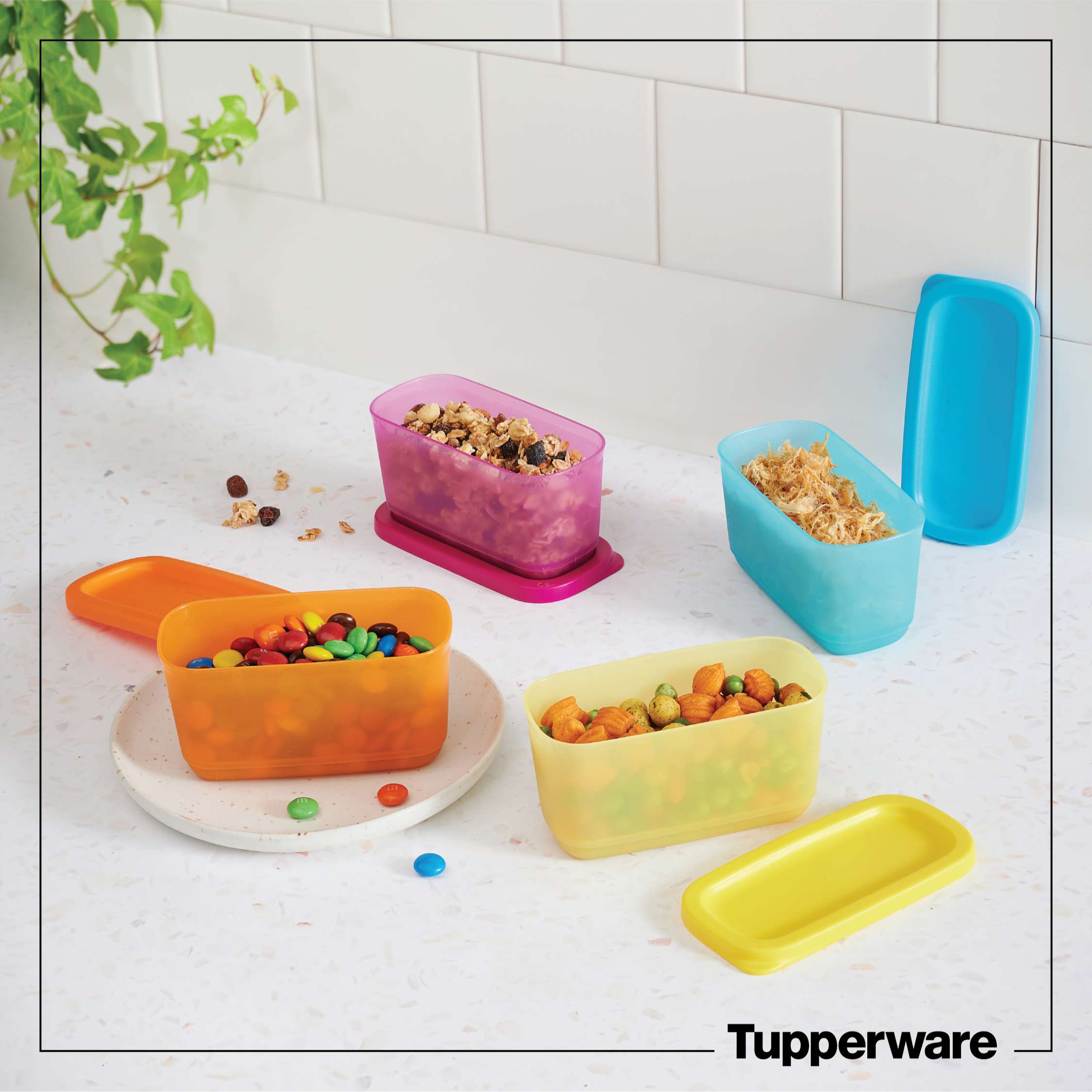 Bộ hộp Mini Rectangular 250ML - Tupperware