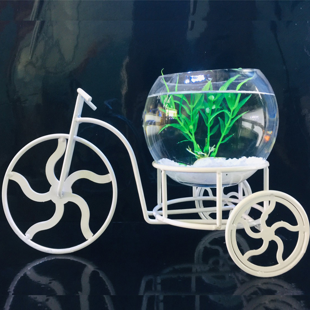 Bể cá mini để bàn xe đạp