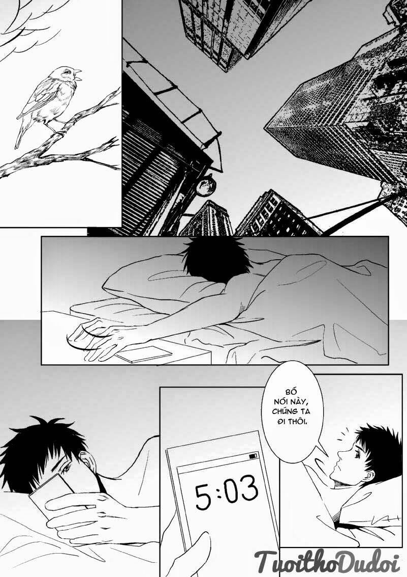 sự mê hoặc của sói chapter 17 4